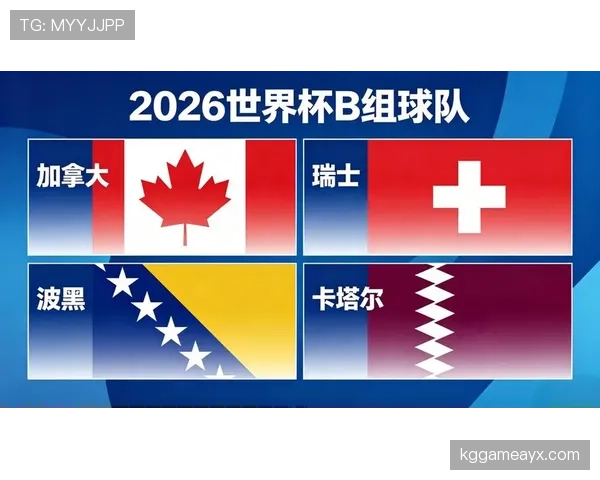 世界杯B组加拿大VS瑞士成头名争夺战